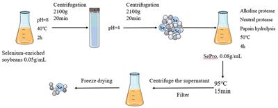 A Comprehensive Comparison of Different Selenium Supplements: Mitigation of Heat Stress and Exercise Fatigue-Induced Liver Injury